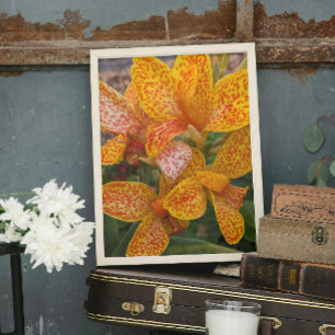 Gelbe Canna-Lilie mit roten Sprenkeln Floral Fotodruck