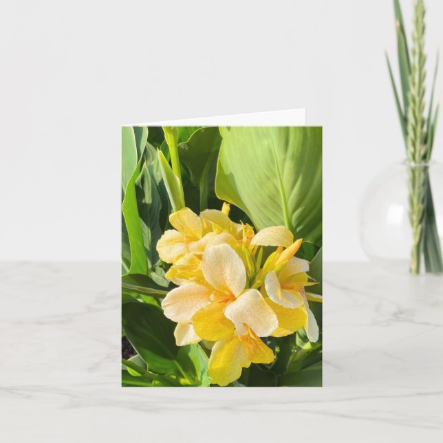 Gelbe Canna Lily in einem Gartenfoto Karte (Vorderseite)