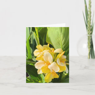 Gelbe Canna Lily in einem Gartenfoto Karte
