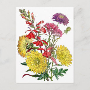 Gelbe Chrysanthemen und violette Scabiosenblüte Postkarte