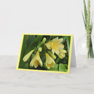 Gelbe Clivea-Blüten mit gelber Umrandungskarte Karte