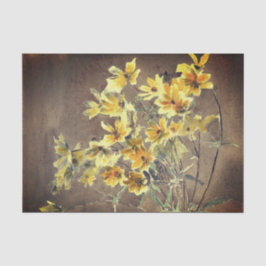 Gelbe Coreopsis Aquarellfarbe Braun Seidenpapier