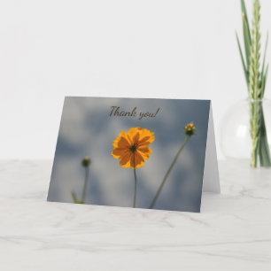 Gelbe Coreopsis Dankeskarte