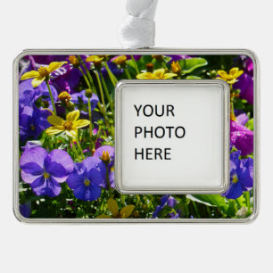 Gelbe Coreopsis und Lila Violas farbenfrohe Blüte Rahmen-Ornament Silber