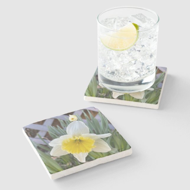Gelbe Daffodien#1 Steinuntersetzer (Seitenansicht)