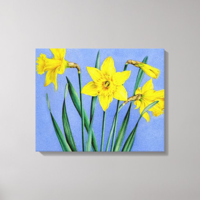 Gelbe Daffodien auf blauem Wrapper der Leinwand (Vorderseite)