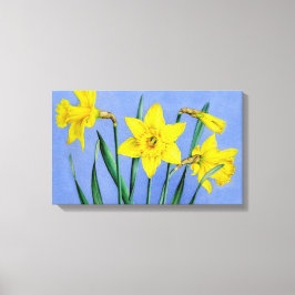 Gelbe Daffodien auf blauem Wrapper der Leinwand