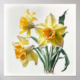 Gelbe Daffodien Blume Art Print Poster
