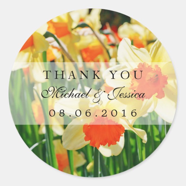 Gelbe Daffodien Blume Gastgeschenk Hochzeit Sticke Runder Aufkleber (Vorderseite)