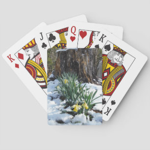 Gelbe Daffodien im Schnee Spielkarten