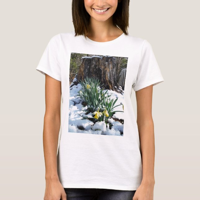 Gelbe Daffodien im Schnee T-Shirt (Vorderseite)