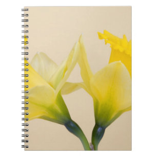 Gelbe Daffodien Notizblock
