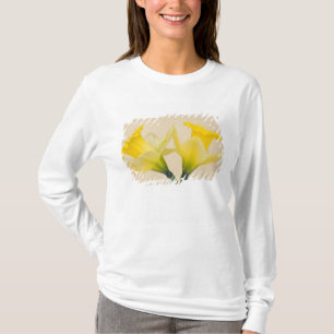 Gelbe Daffodien T-Shirt