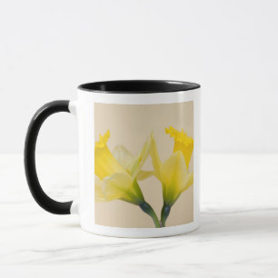 Gelbe Daffodien Tasse