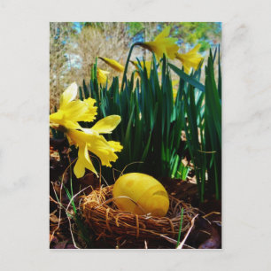 Gelbe Daffodien und ein Gelbes Osterei Feiertagspostkarte