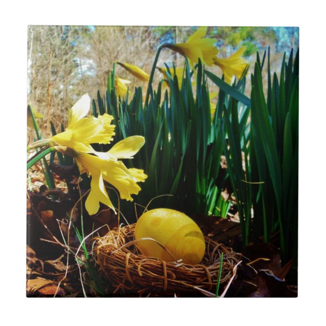 Gelbe Daffodien und ein Gelbes Osterei Fliese (Vorderseite)
