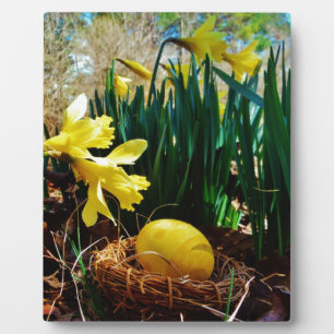 Gelbe Daffodien und ein Gelbes Osterei Fotoplatte