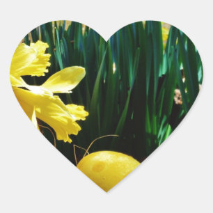 Gelbe Daffodien und ein Gelbes Osterei Herz-Aufkleber