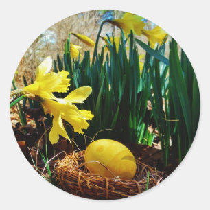 Gelbe Daffodien und ein Gelbes Osterei Runder Aufkleber