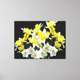 Gelbe Daffodien und weiße Narcissi auf Grau Leinwanddruck