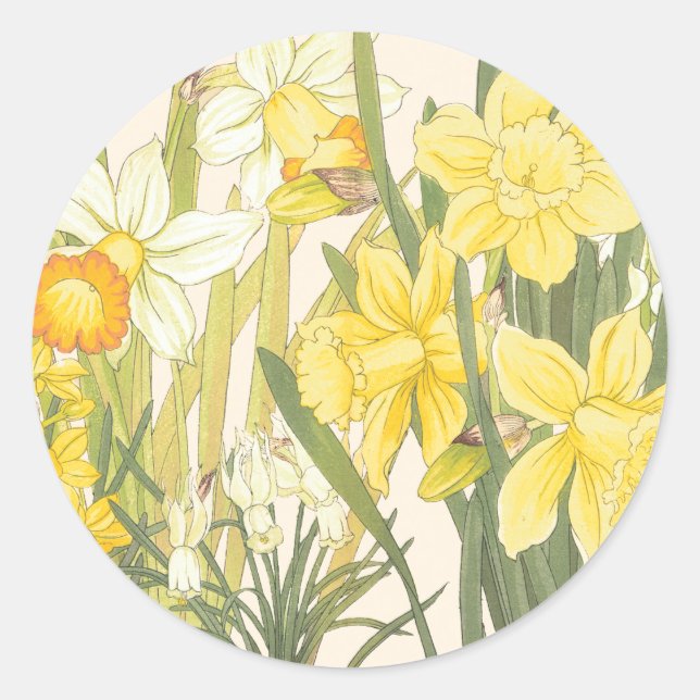 Gelbe Daffodills Runder Aufkleber (Vorderseite)