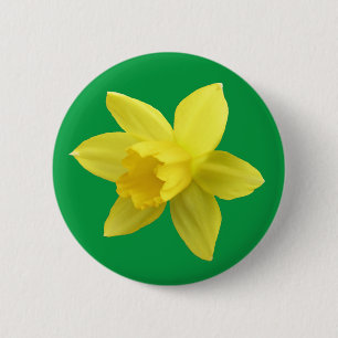 Gelbe Daffodin auf Grün Button