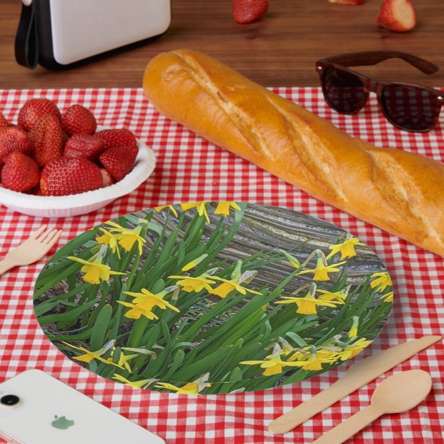 Gelbe Daffodin Blüten Pappteller (Picknick)