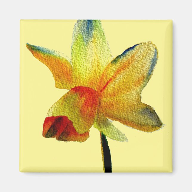 Gelbe Daffodische Aquarellkunst Frühlingskunst Blu Magnet (Vorne)