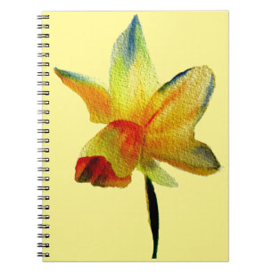 Gelbe Daffodische Aquarellkunst Frühlingskunst Blu Notizblock