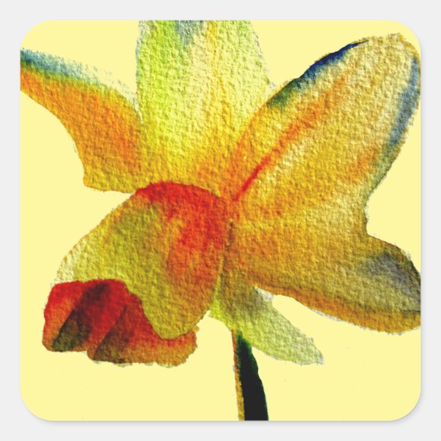 Gelbe Daffodische Aquarellkunst Frühlingskunst Blu Quadratischer Aufkleber (Vorderseite)