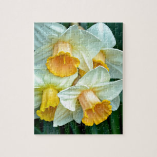 Gelbe Daffodische Blume