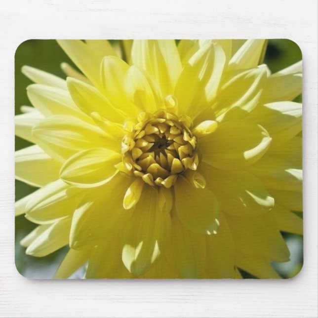 Gelbe Dahlia-Mausunterlage Mousepad (Vorne)