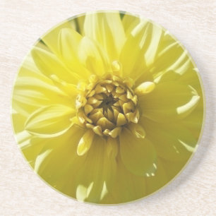 Gelbe Dahlia-Untersetzer Sandstein Untersetzer