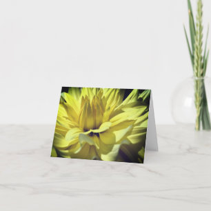 Gelbe Dahlien-Blütenblätter Fotografie Notiz Karte