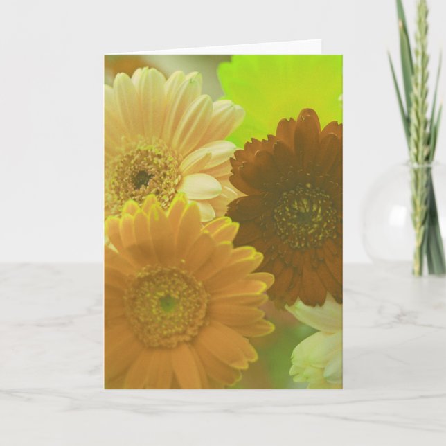 Gelbe Daisy-Blume Foto Hinweis oder Grußkarten Karte (Vorderseite)