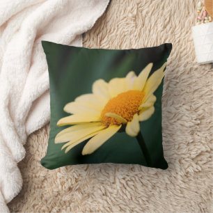 Gelbe Daisy-Blume Nah Kissen