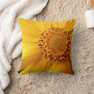 Gelbe Daisy Blume Petalen und Mitte Nah Kissen
