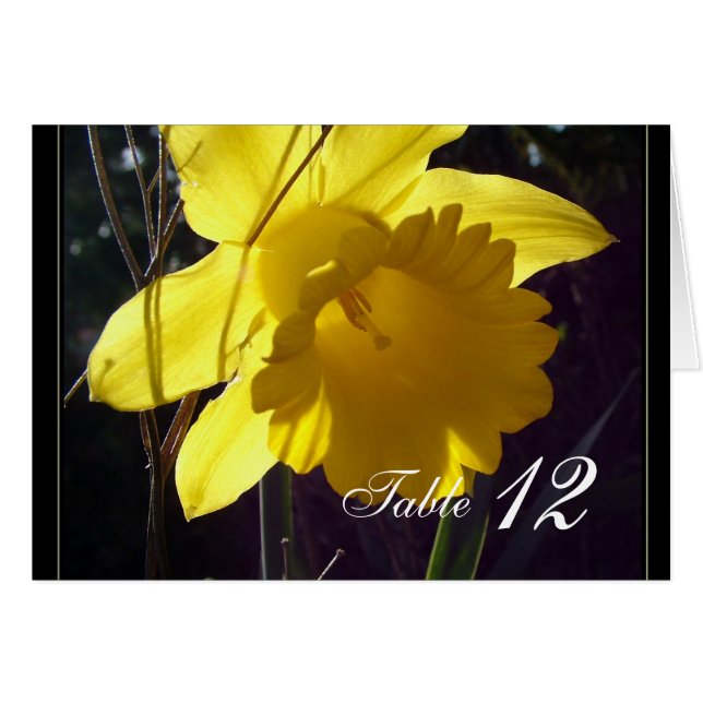 Gelbe Dickicht-Blume Abendessen Tischnummer Karte. (Vorderseite (Horizontal))