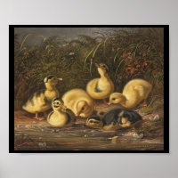 Gelbe Ducklings spielen im Teich