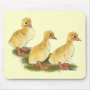 Gelbe Encklings Mousepad