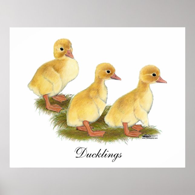 Gelbe Encklings Poster (Vorne)