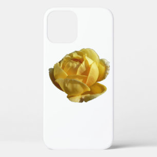 Gelbe Englische Rose Case-Mate iPhone Hülle
