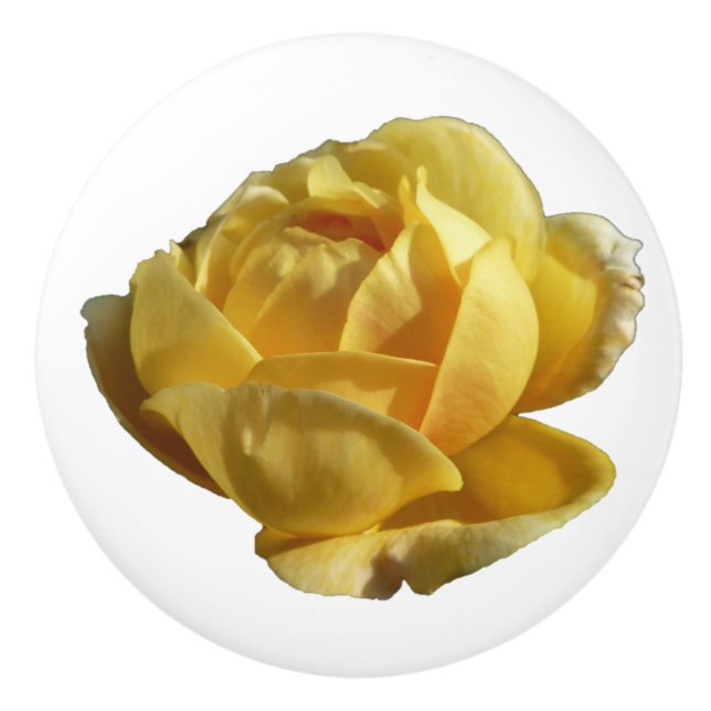 Gelbe Englische Rose Keramikknauf (Vorderseite)