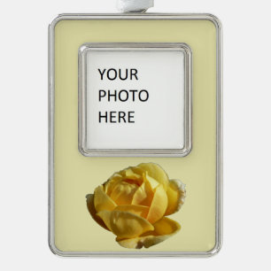 Gelbe Englische Rose Rahmen-Ornament Silber
