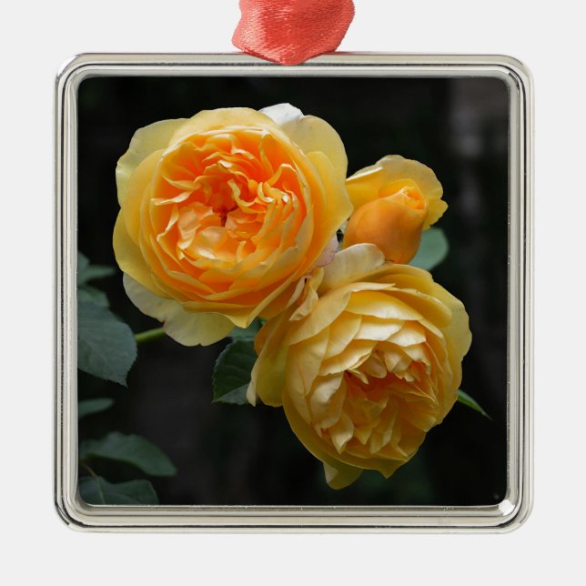 Gelbe Englische Rose Silbernes Ornament (Vorne)