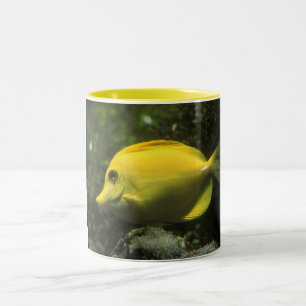 GELBE FISCH-TASSE ZWEIFARBIGE TASSE