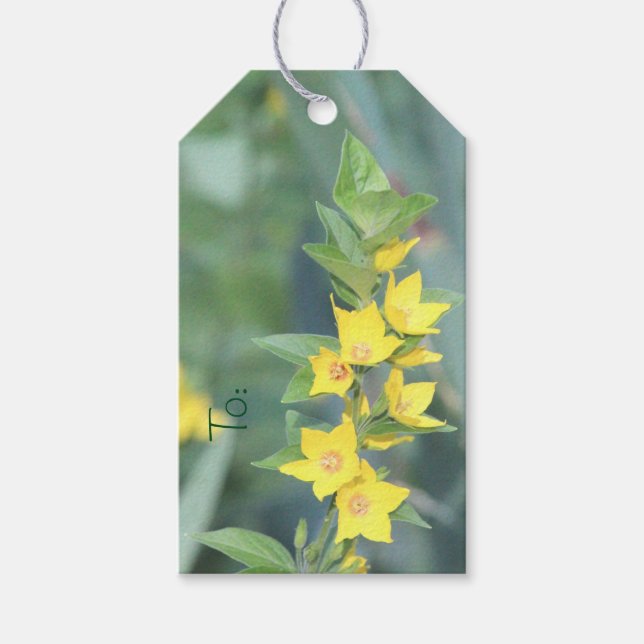 Gelbe florale Geschenkmarke Geschenkanhänger (Vorderseite)