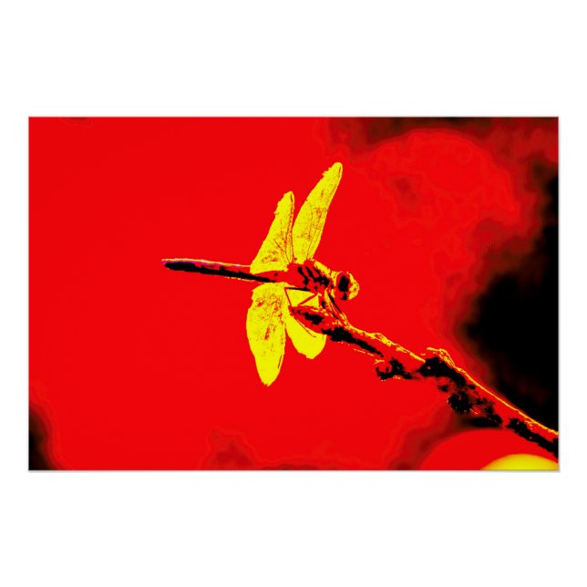 Gelbe Flügel Poster (Vorderseite)