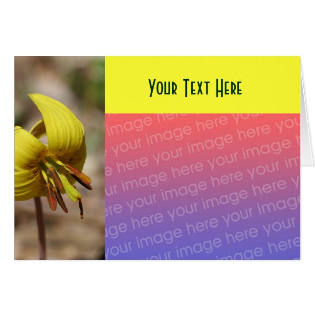 Gelbe Forelle Lilie Blume Fotokarte (Vorderseite (Horizontal))