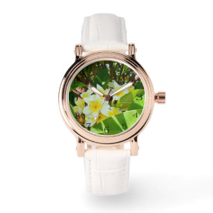 Gelbe Frangipani wachsen an einem Baum, Armbanduhr